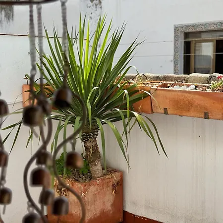 Atico San Francisco *